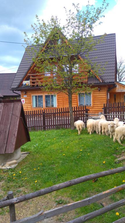 Pokoje U Sarnowskich Koscielisko Luaran gambar