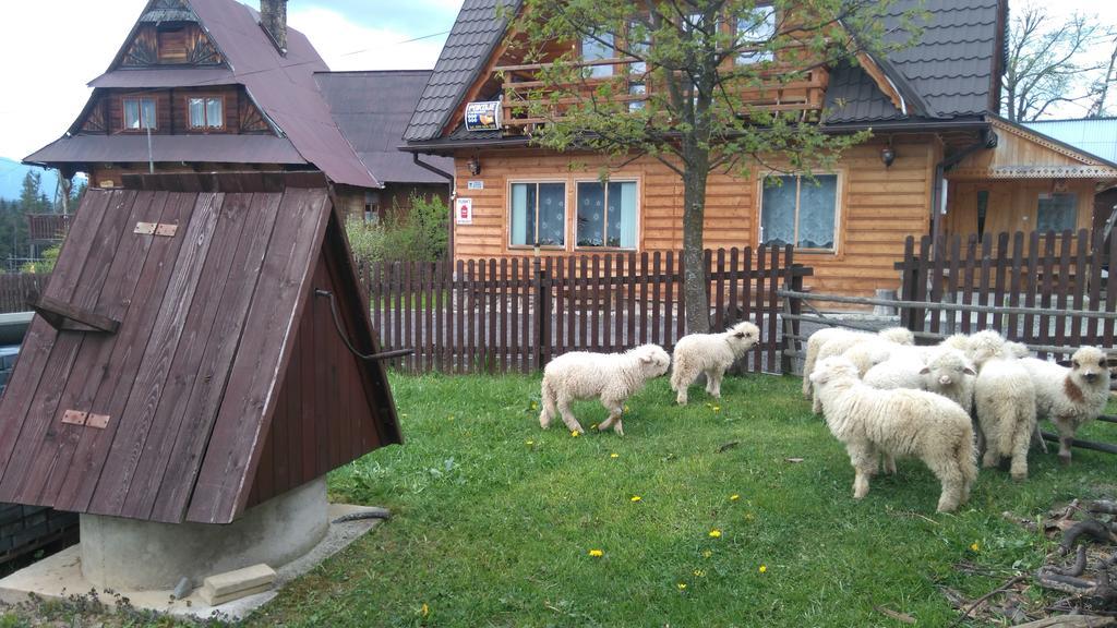 Pokoje U Sarnowskich Koscielisko Luaran gambar